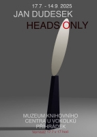 https://www.dudesek.ch/files/gimgs/th-101_Plakat_v2.jpg