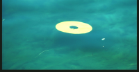 https://www.dudesek.ch/files/gimgs/th-41_image_v2.png